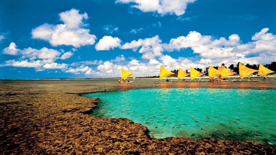 Recife: Tour to Porto de Galinhas - Leaving Recife by Van