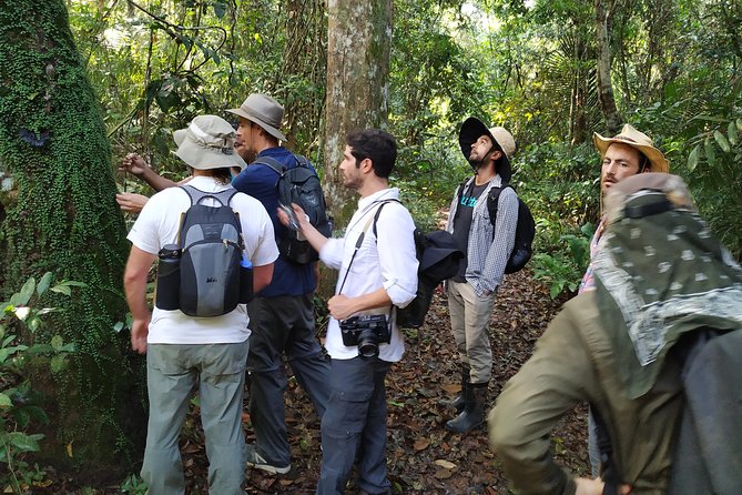 Regional Cruise in the Amazon - Key points to know before you book