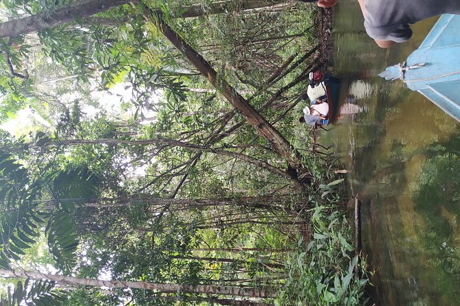 Regional Cruise in the Amazon - Forest time at Floresta Nacional dos Tapajós
