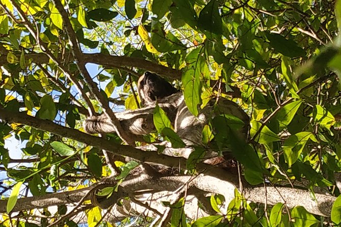 Regional Cruise in the Amazon - Following the Arapiuns through beaches and communities