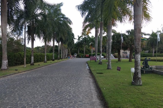 Ricardo Brennand Institute with Transfer from Recife - What the three-hour itinerary is really like