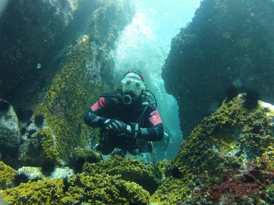 Rio: Best Dive Experience All Inclusive Scuba Diving Package - Key points to know before booking