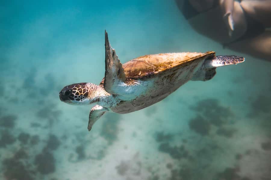 Rio: Best Dive Experience All Inclusive Scuba Diving Package - Weather rules and the main risk to your plans