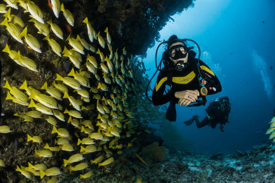Rio: Best Dive Experience All Inclusive Scuba Diving Package - The 15-minute safety briefing