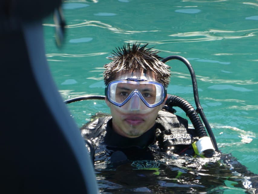 Rio: Best Dive Experience All Inclusive Scuba Diving Package - What beginners can expect underwater