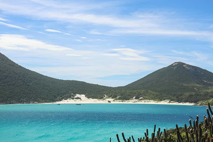 Rio: Best Dive Experience All Inclusive Scuba Diving Package - Marine life, snorkeling, and coastal views
