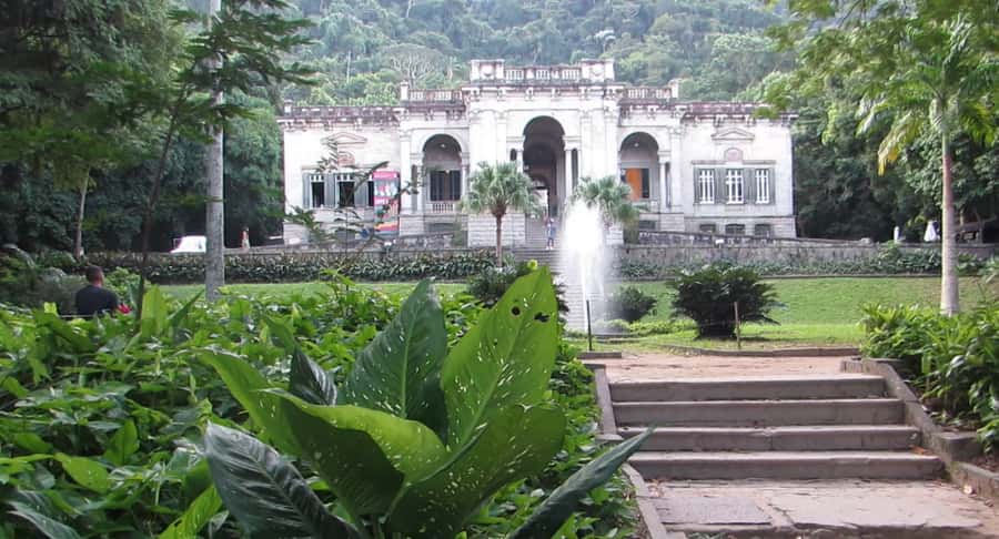 Rio: Botanical Garden, Tijuca Forest, and Parque Lage Tour - Rio Botanical Garden and its special collections