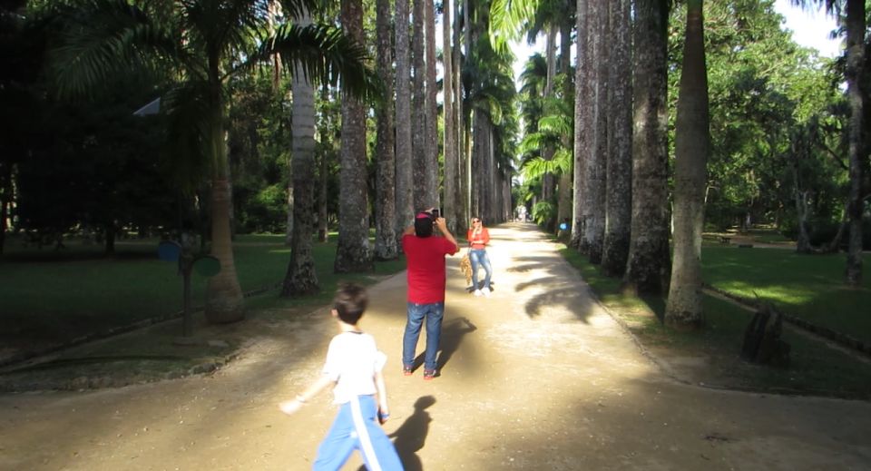 Rio: Botanical Garden, Tijuca Forest, and Parque Lage Tour - Who will get the most from this experience