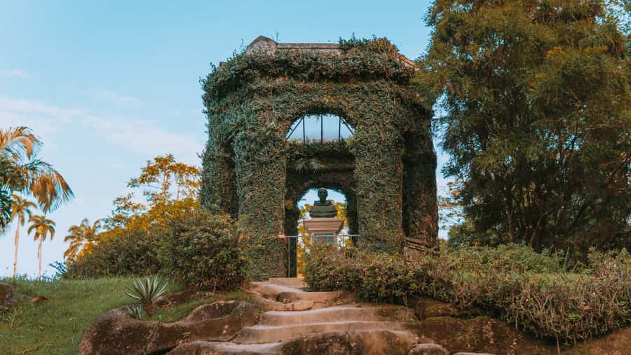 Rio de Janeiro: 4-Hour Botanical Garden & Tijuca Forest Tour - Why this Rio nature tour works so well