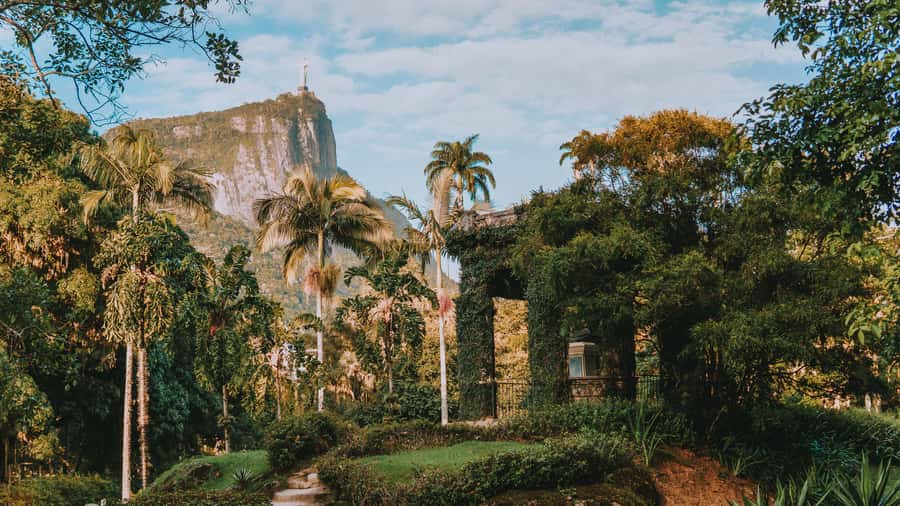 Rio de Janeiro: 4-Hour Botanical Garden & Tijuca Forest Tour - Walking beneath the imperial palms