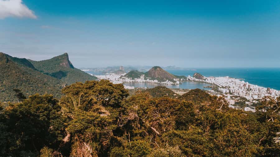 Rio de Janeiro: 4-Hour Botanical Garden & Tijuca Forest Tour - The guides make the difference