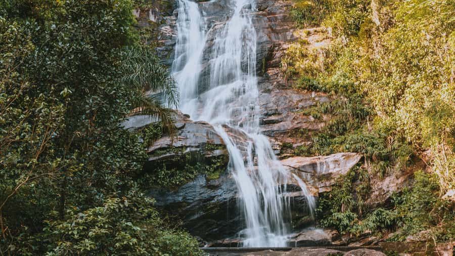 Rio de Janeiro: 4-Hour Botanical Garden & Tijuca Forest Tour - Transportation, timing, and what to bring