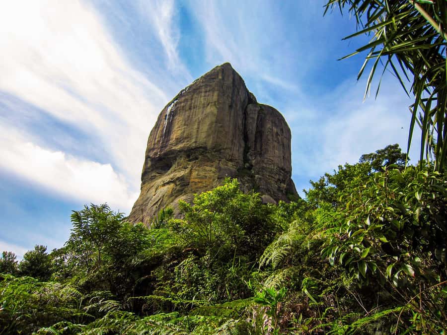 Rio de Janeiro: 7-Hour Gavea Rock Hiking Tour - What to bring and what the price covers