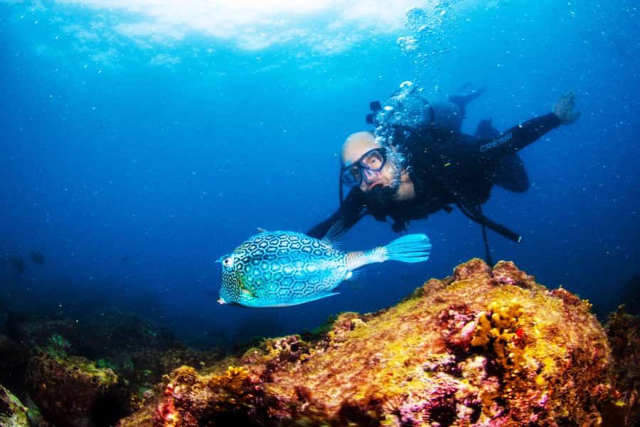 Rio de Janeiro: Arraial do Cabo Scuba Diving Day Trip - The long road from Rio to the Lakes Region
