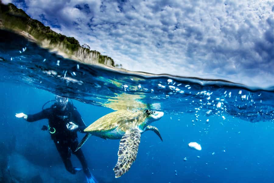 Rio de Janeiro: Arraial do Cabo Scuba Diving Day Trip - Beginner instruction versus two certified tanks