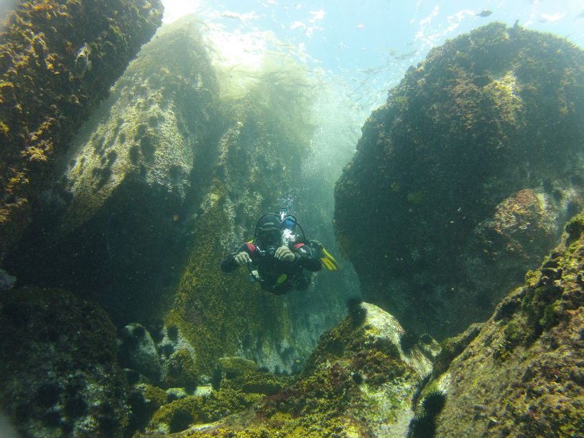 Rio de Janeiro: Arraial do Cabo Scuba Diving Day Trip - The one-hour lunch break