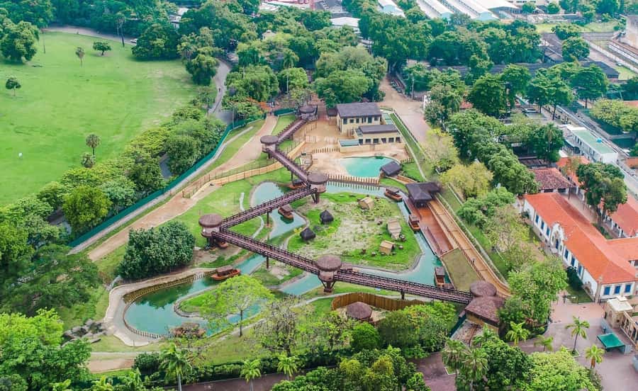 Rio de Janeiro: BioParque Guided Tour with Transfer - Practical comfort: sun, mobility, and timing