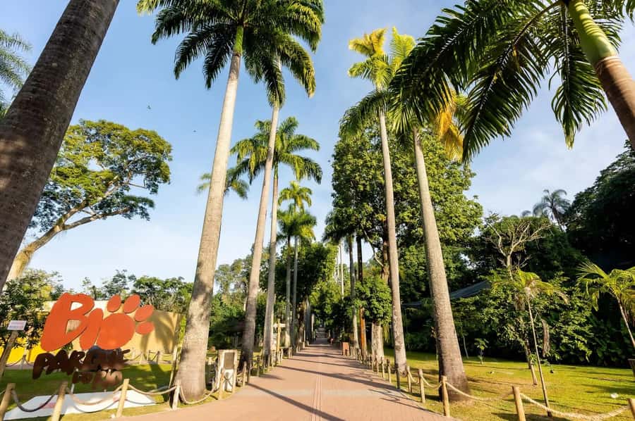 Rio de Janeiro: BioParque Guided Tour with Transfer - Should you book the BioParque guided tour?