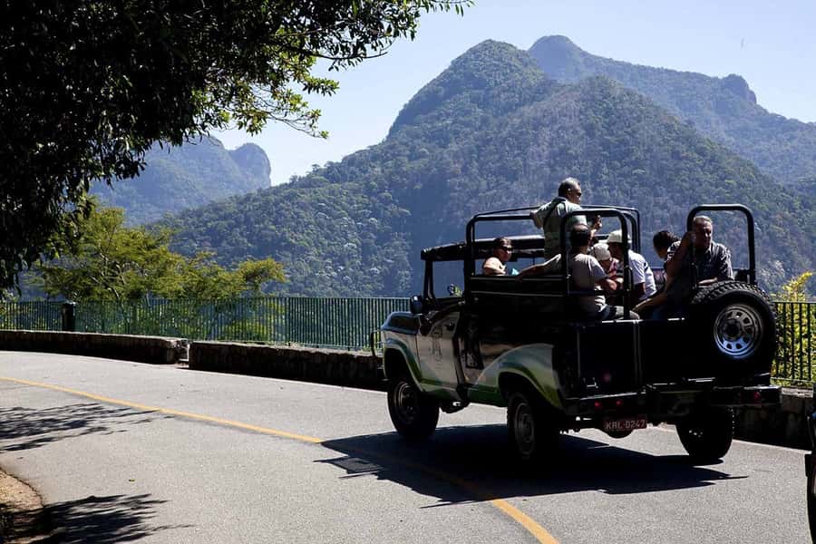 Rio de Janeiro: Botanical Garden & Tijuca Forest Guided Tour - Key points to know before booking
