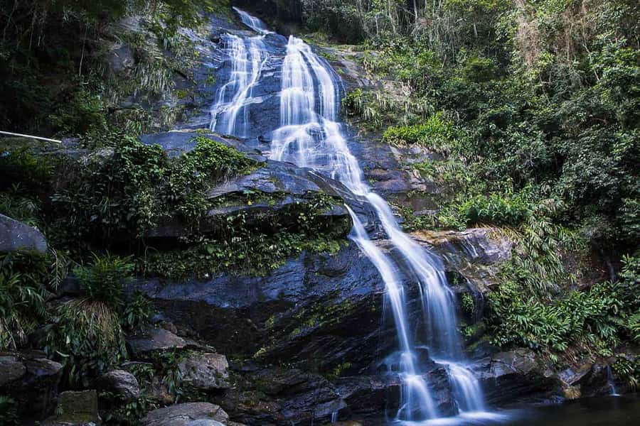 Rio de Janeiro: Botanical Garden & Tijuca Forest Guided Tour - Why this tour works for nature lovers in Rio