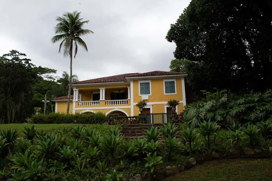 Rio de Janeiro: Botanical Garden & Tijuca Forest Guided Tour - Waterfalls, short trails, and photo time