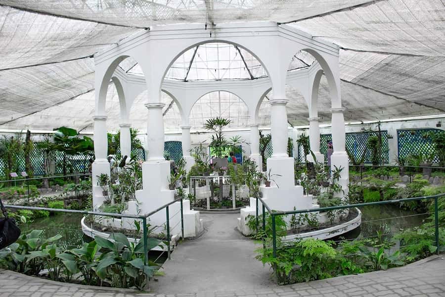 Rio de Janeiro: Botanical Garden & Tijuca Forest Guided Tour - Guides can make or break the experience