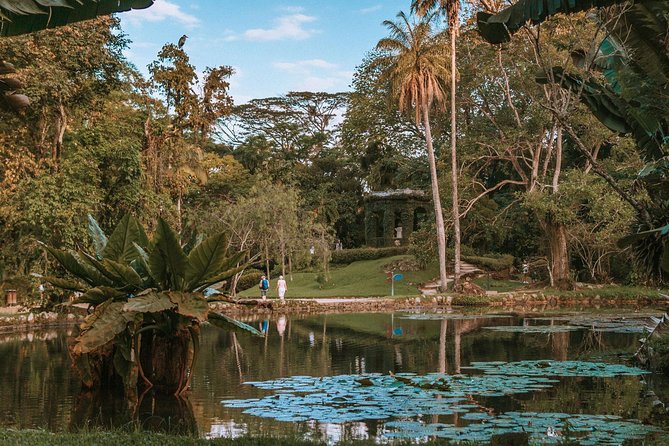 Rio de Janeiro Botanical Garden & Tijuca Forest Tour - Why this short Rio nature tour works