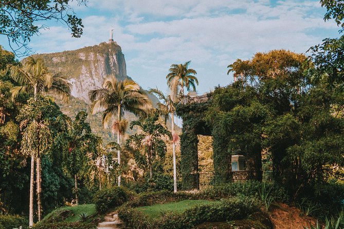 Rio de Janeiro Botanical Garden & Tijuca Forest Tour - Tijuca National Park by road and short walk