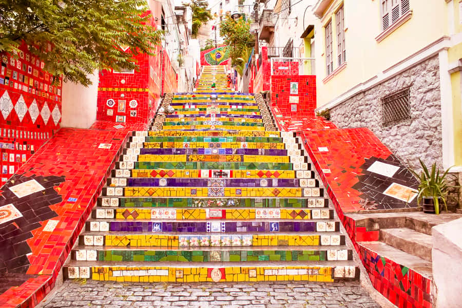 Rio de Janeiro: Christ, Selaron Steps, and Tijuca Park Tour - Key details worth knowing before booking
