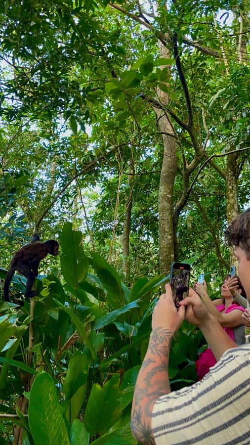Rio de Janeiro: Dois Irmãos Peak Sunrise, Day or Sunset Hike - Guides, photos, and group comfort