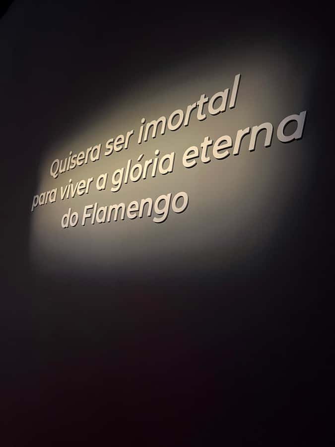 Rio de Janeiro: Flamengo Museum Ticket Entrance - Key points to know before you go