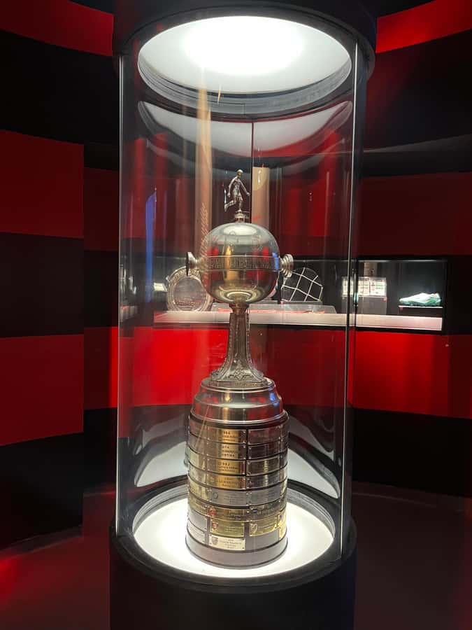 Rio de Janeiro: Flamengo Museum Ticket Entrance - A museum designed by an international sports team