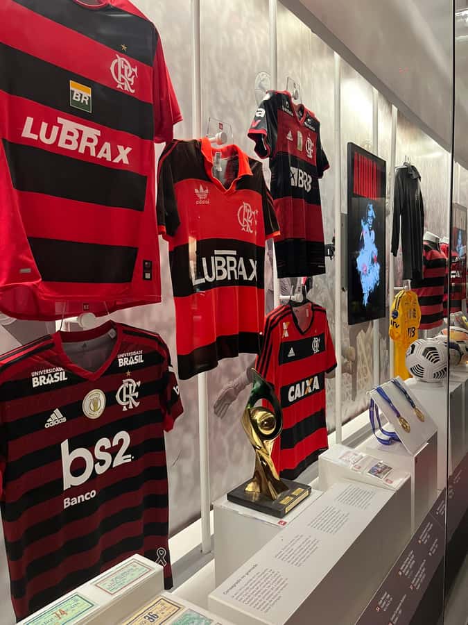 Rio de Janeiro: Flamengo Museum Ticket Entrance - What the digital guide adds