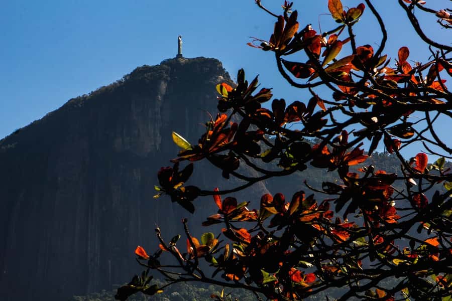 Rio de Janeiro: Guided Bike Tours in Small Groups - The three-hour Urban Tour: Copacabana, Vermelha Beach, and Lagoa