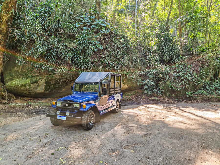 Rio de Janeiro: Guided Jeep Tour through Tijuca Rainforest - Vista Chinesa and the Atlantic Forest story