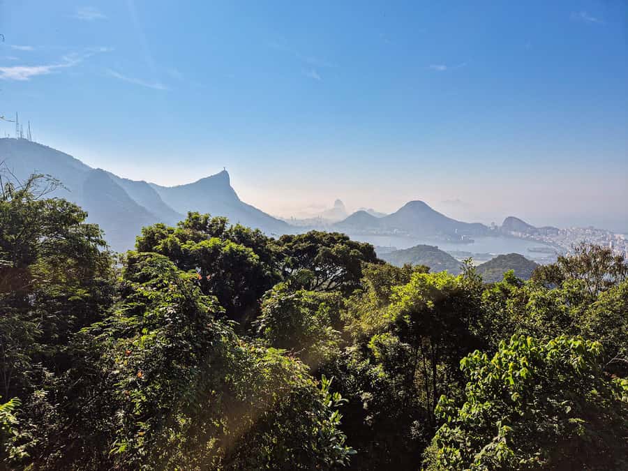 Rio de Janeiro: Guided Jeep Tour through Tijuca Rainforest - Emperor’s Table, Mayrink Chapel, and Taunay’s Waterfall