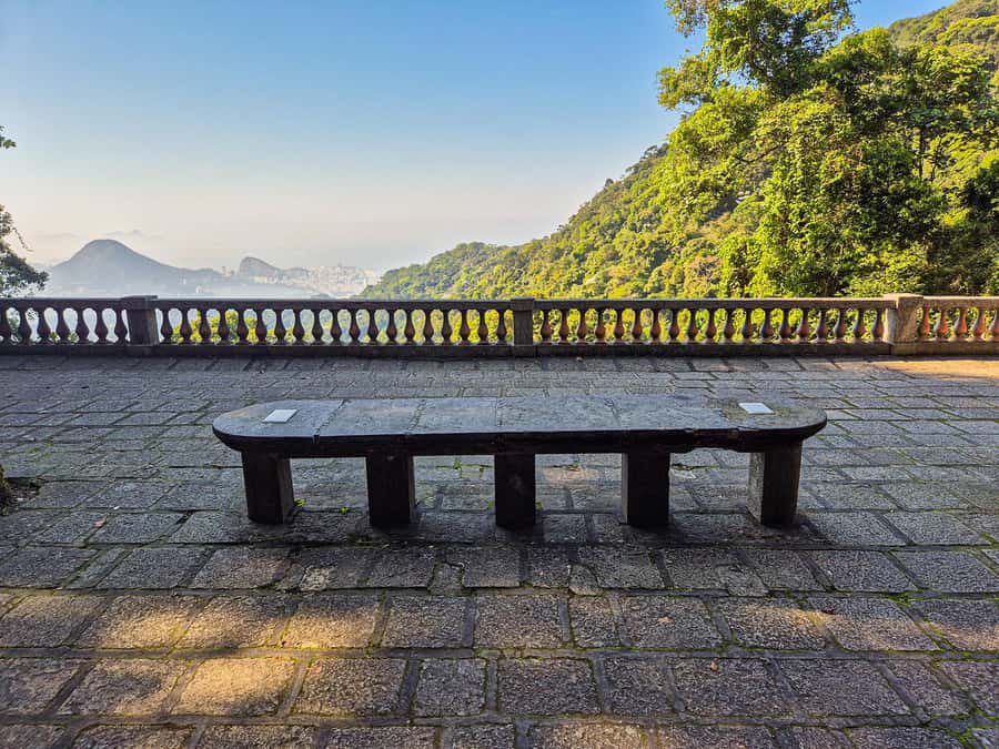 Rio de Janeiro: Guided Jeep Tour through Tijuca Rainforest - Wildlife sightings and realistic expectations