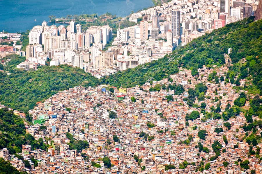 Rio De Janeiro: Half-Day Rocinha Favela Walking Tour - Meeting at Copacabana Palace at 1:25 PM
