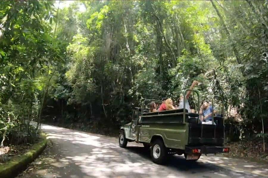 Rio de Janeiro: Jeep Tour Christ the Redeemer + Sugar Loaf - The four-hour schedule: efficient, but not leisurely