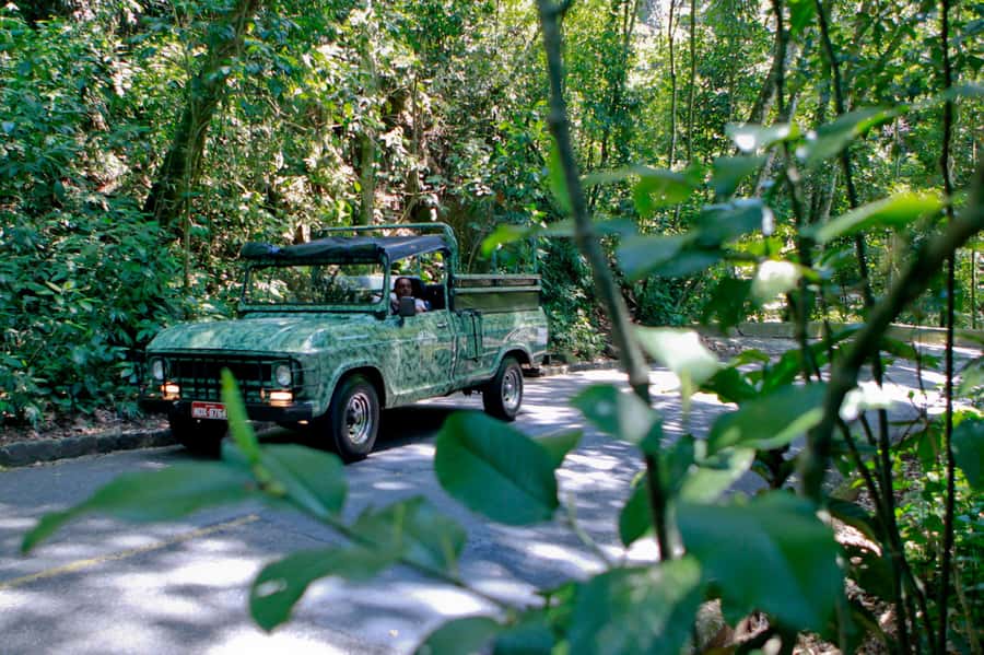 Rio de Janeiro: Jeep Tour in the Tijuca Forest - Why Tijuca Forest works well on a Rio itinerary
