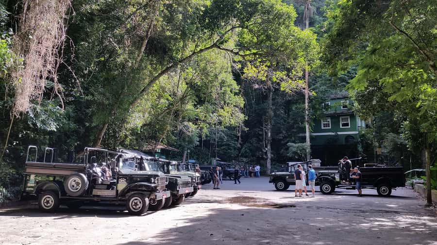 Rio de Janeiro: Jeep Tour in the Tijuca Forest - The short walk through Atlantic Forest