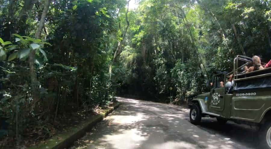 Rio de Janeiro: Jeep Tour in the Tijuca Forest - The natural pool and waterfall pause