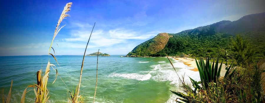 Rio de Janeiro Nature Secrets 'The Eco Citytour' - Key points at a glance
