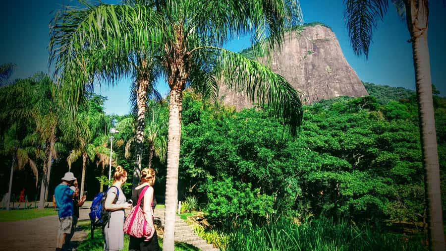 Rio de Janeiro Nature Secrets 'The Eco Citytour' - Entering Tijuca National Park