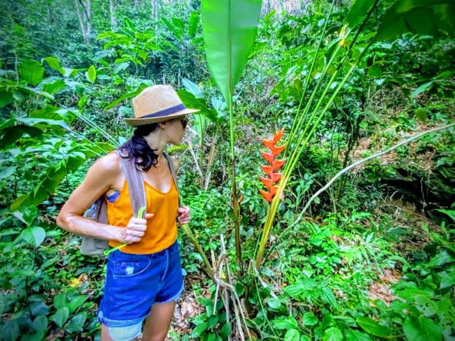 Rio de Janeiro Nature Secrets 'The Eco Citytour' - A short visit to Prainha Beach