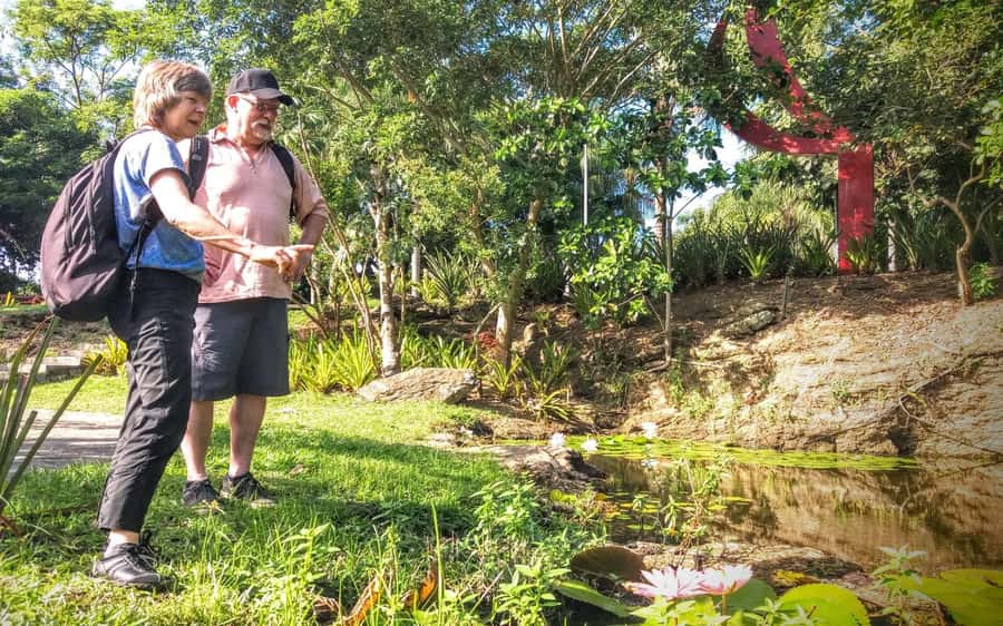 Rio de Janeiro Nature Secrets 'The Eco Citytour' - Finishing at Roncador Outlook