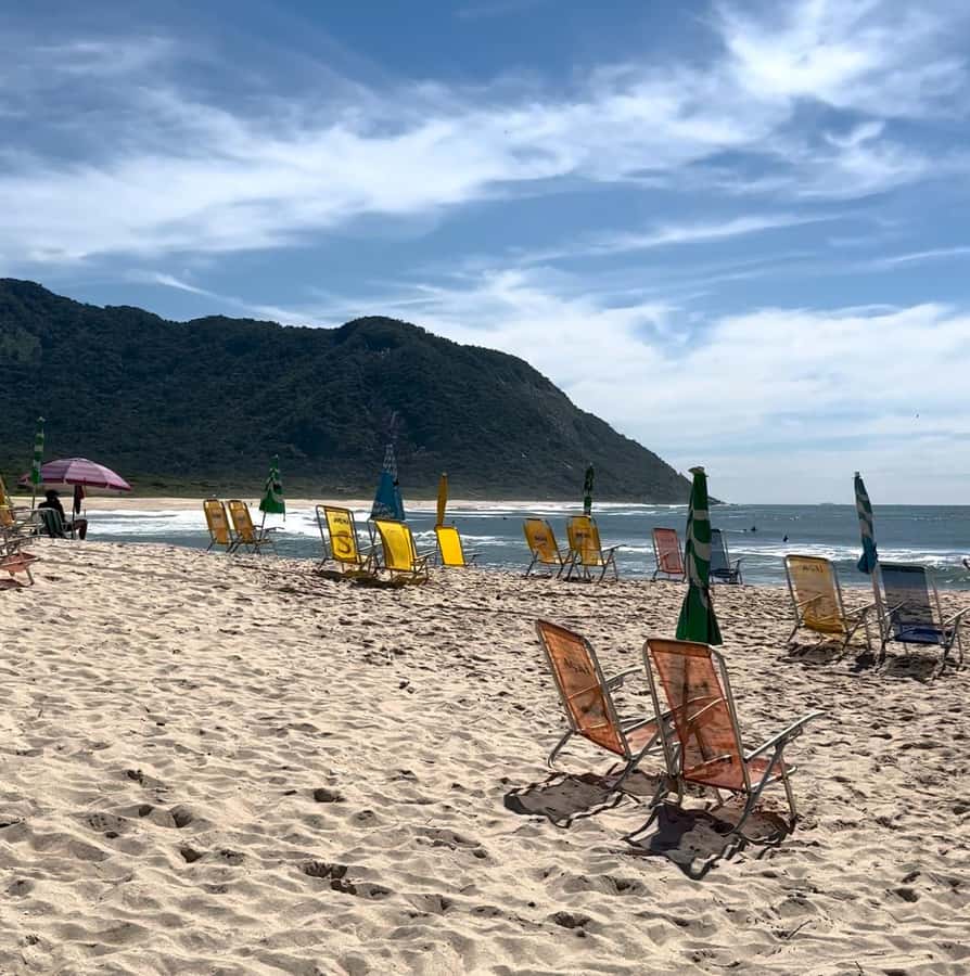 Rio de Janeiro: Pedra do Telégrafo trail and beach stop - Reaching the 350-meter viewpoint