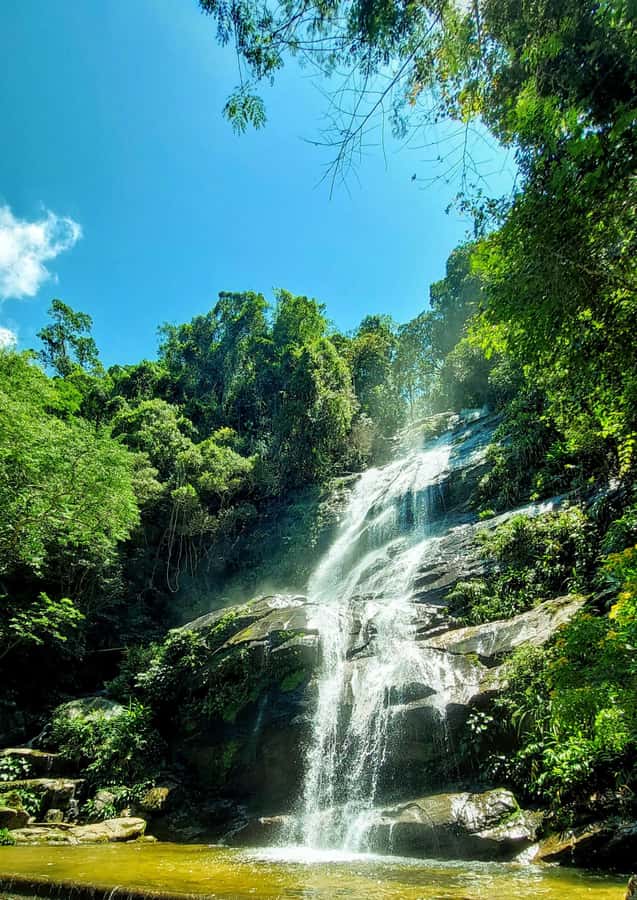 Rio de Janeiro: Tijuca Forest Challenge Hike Full-Day Trip - Guides make the difference