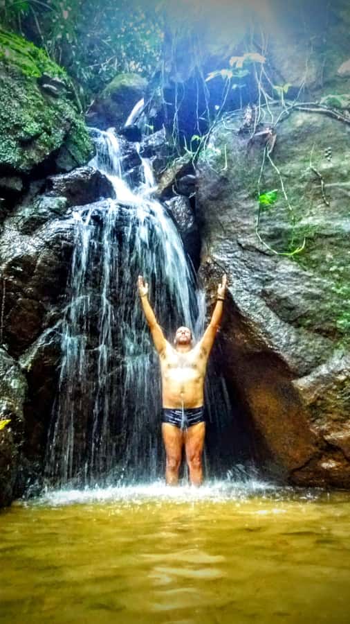 Rio de Janeiro: Tijuca Forest Challenge Hike Full-Day Trip - Why Tijuca Forest is worth a full day