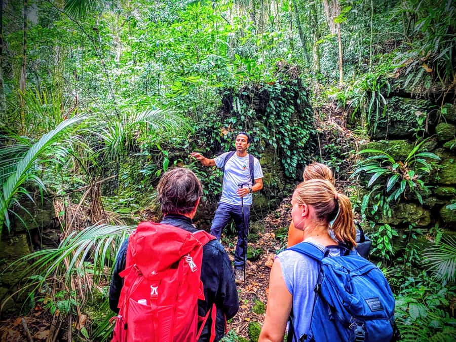 Rio de Janeiro: Tijuca Forest Challenge Hike Full-Day Trip - The 848-meter climb to the viewpoints